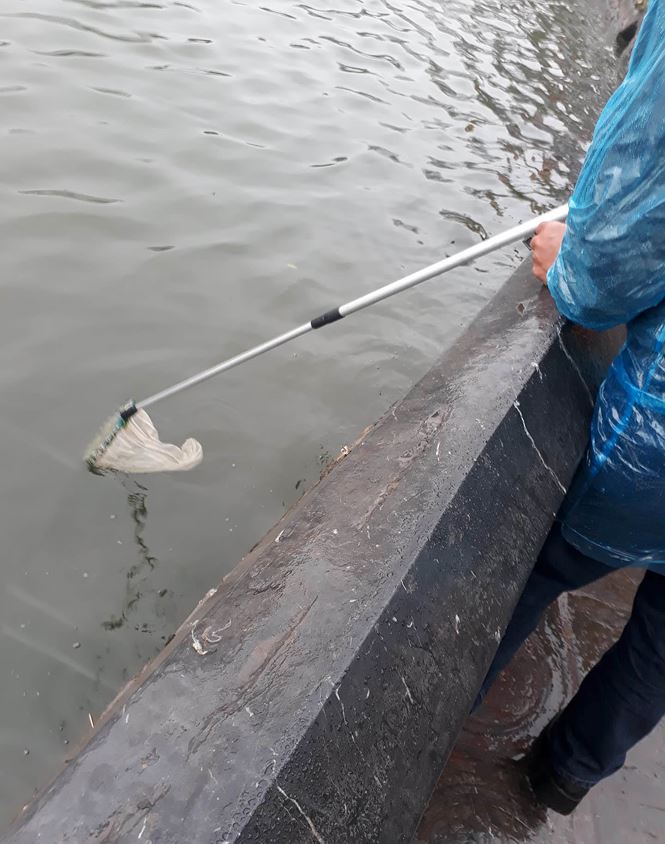 Rùa, cá vừa phóng sinh bị vợt ngay trước mắt tại chùa Trấn Quốc